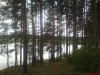 Файл=DSC01197.JPG
Объём=543KB
Размеры=1632x1224
Дата=Окт 17, 2007 DSC01197.JPG
