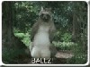 Файл=avatartankist2dp.gif
Объём=224KB
Размеры=150x113
Дата=Нояб 29, 2007 avatartankist2dp.gif