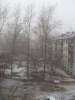 Файл=SL380344.JPG
Объём=543KB
Размеры=1224x1632
Дата=Май 02, 2009 SL380344.JPG