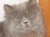 Файл=DSC08117~0.JPG
Объём=619KB
Размеры=1280x960
Дата=Янв 21, 2008 DSC08117~0.JPG
