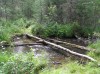 Файл=P6260037.JPG
Объём=183KB
Размеры=800x599
Дата=Авг 11, 2007 P6260037.JPG