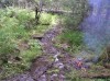 Файл=P6260038.JPG
Объём=184KB
Размеры=800x599
Дата=Авг 11, 2007 P6260038.JPG