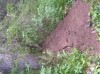 Файл=P6260044.JPG
Объём=183KB
Размеры=800x599
Дата=Авг 11, 2007 P6260044.JPG
