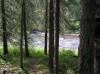 Файл=P6260047.JPG
Объём=155KB
Размеры=800x599
Дата=Авг 11, 2007 P6260047.JPG