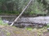 Файл=P6260056.JPG
Объём=194KB
Размеры=800x599
Дата=Авг 11, 2007 P6260056.JPG