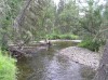 Файл=P6260058.JPG
Объём=173KB
Размеры=800x599
Дата=Авг 11, 2007 P6260058.JPG