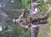 Файл=P6260067.JPG
Объём=165KB
Размеры=800x599
Дата=Авг 11, 2007 P6260067.JPG