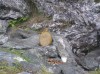 Файл=P6270079.JPG
Объём=167KB
Размеры=800x599
Дата=Авг 11, 2007 P6270079.JPG