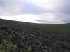 Файл=P6270086.JPG
Объём=79KB
Размеры=800x599
Дата=Авг 11, 2007 P6270086.JPG