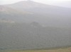 Файл=P6270089.JPG
Объём=56KB
Размеры=800x599
Дата=Авг 11, 2007 P6270089.JPG