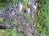 Файл=P6280095.JPG
Объём=188KB
Размеры=800x599
Дата=Авг 11, 2007 P6280095.JPG