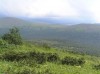 Файл=P6280101.JPG
Объём=108KB
Размеры=800x599
Дата=Авг 11, 2007 P6280101.JPG
