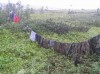 Файл=P6290111.JPG
Объём=152KB
Размеры=800x599
Дата=Авг 11, 2007 P6290111.JPG