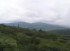 Файл=P6290114.JPG
Объём=63KB
Размеры=800x599
Дата=Авг 11, 2007 P6290114.JPG