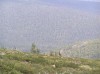 Файл=P6290121.JPG
Объём=100KB
Размеры=800x599
Дата=Авг 11, 2007 P6290121.JPG