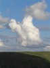 Файл=P6290133.JPG
Объём=24KB
Размеры=449x600
Дата=Авг 11, 2007 P6290133.JPG