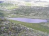 Файл=P6300152.JPG
Объём=133KB
Размеры=800x599
Дата=Авг 11, 2007 P6300152.JPG
