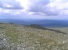 Файл=P7010209.JPG
Объём=109KB
Размеры=800x599
Дата=Авг 11, 2007 P7010209.JPG