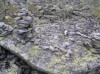 Файл=P7010227.JPG
Объём=181KB
Размеры=800x599
Дата=Авг 11, 2007 P7010227.JPG