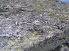 Файл=P7010228.JPG
Объём=183KB
Размеры=800x599
Дата=Авг 11, 2007 P7010228.JPG