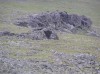 Файл=P7010240.JPG
Объём=147KB
Размеры=800x599
Дата=Авг 11, 2007 P7010240.JPG