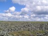 Файл=P7020251.JPG
Объём=110KB
Размеры=800x599
Дата=Авг 11, 2007 P7020251.JPG