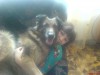 Файл=DSC00637.JPG
Объём=361KB
Размеры=1632x1224
Дата=Июль 20, 2007 DSC00637.JPG