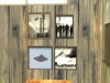 Файл=gallery91.jpg
Объём=51KB
Размеры=800x600
Дата=Сент 09, 2007 gallery91.jpg