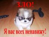 Файл=Мистер_зло.jpg
Объём=54KB
Размеры=640x480
Дата=Сент 23, 2007 Мистер_зло.jpg