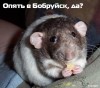 Файл=Опять.jpg
Объём=48KB
Размеры=470x417
Дата=Сент 23, 2007 Опять.jpg