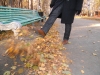 Файл=DSCN0987.JPG
Объём=1162KB
Размеры=2592x1944
Дата=Янв 06, 2011 DSCN0987.JPG