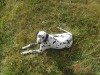 Файл=DSC01346.JPG
Объём=610KB
Размеры=1280x960
Дата=Сент 27, 2007 DSC01346.JPG