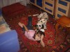 Файл=DSC01679.JPG
Объём=589KB
Размеры=1280x960
Дата=Сент 27, 2007 DSC01679.JPG