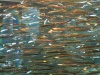Файл=0_45bb_71af2d5f_XL.jpg
Объём=161KB
Размеры=800x600
Дата=Июль 03, 2008 0_45bb_71af2d5f_XL.jpg
