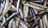 Файл=anchovies.jpg
Объём=21KB
Размеры=416x245
Дата=Июль 03, 2008 anchovies.jpg