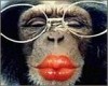 Файл=Kiss.jpg
Объём=6KB
Размеры=160x128
Дата=Окт 16, 2007 Kiss.jpg