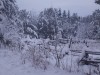 Файл=Изображение_010.jpg
Объём=263KB
Размеры=800x600
Дата=Дек 24, 2007 Изображение_010.jpg