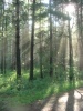 Файл=CIMG1135.JPG
Объём=295KB
Размеры=480x640
Дата=Окт 13, 2008 CIMG1135.JPG