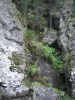 Файл=CIMG1491.JPG
Объём=333KB
Размеры=480x640
Дата=Окт 13, 2008 CIMG1491.JPG