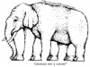 Файл=1204.JPG
Объём=31KB
Размеры=504x378
Дата=Окт 27, 2007 1204.JPG