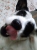 Файл=img00453.jpg
Объём=63KB
Размеры=768x1024
Дата=Окт 21, 2007 img00453.jpg