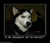 Файл=ты.jpg
Объём=28KB
Размеры=572x502
Дата=Апр 18, 2011 ты.jpg