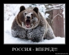 1264962341_il4iakvcxn1l.jpg