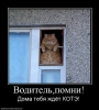 838809_voditelpomni.jpg