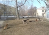 Файл=DSC00026.JPG
Объём=253KB
Размеры=1024x729
Дата=Апр 21, 2011 DSC00026.JPG