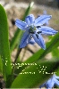 Файл=card_26.gif
Объём=141KB
Размеры=400x601
Дата=Апр 19, 2009 card_26.gif