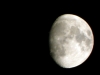 DSCN0291.jpg