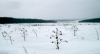 PIC_0160.JPG