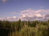 Файл=Хортица_2008_(35).JPG
Объём=137KB
Размеры=1024x768
Дата=Июль 29, 2008 Хортица_2008_(35).JPG