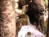 Файл=DSC02080.JPG
Объём=455KB
Размеры=1024x768
Дата=Июль 27, 2009 DSC02080.JPG